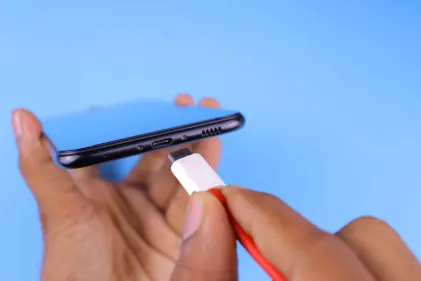 Casino Dogs Fortune Mobil App